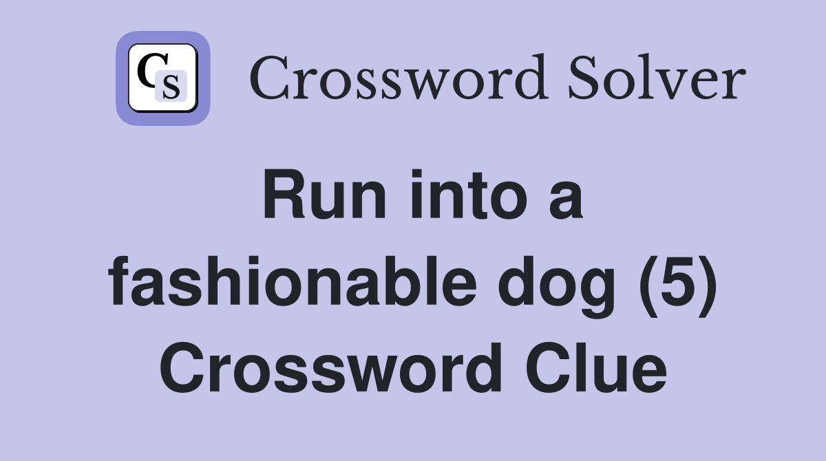 Run into a fashionable dog (5) Crossword Clue