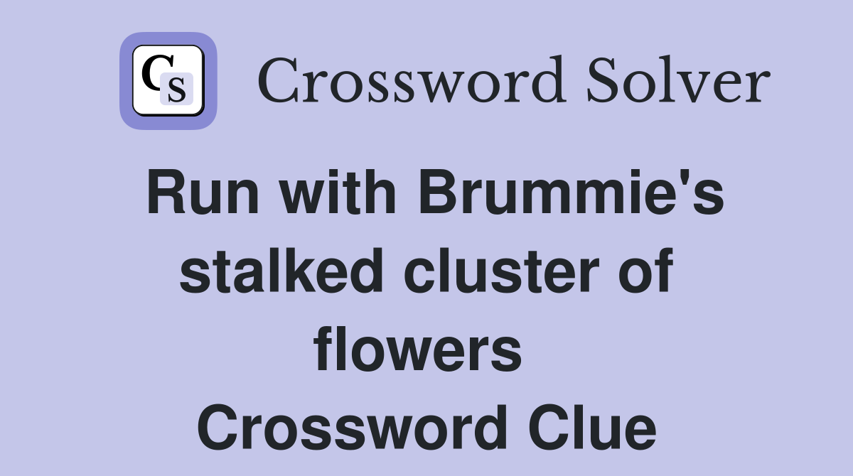 Run with Brummie's stalked cluster of flowers  Crossword Clue