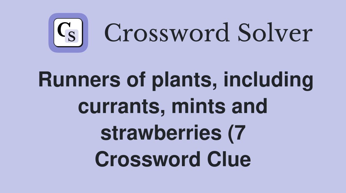 Runners of plants including currants mints and strawberries (7 Runners of plants including currants mints and strawberries (7