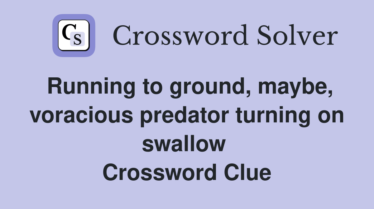 Running to ground, maybe, voracious predator turning on swallow  Crossword Clue