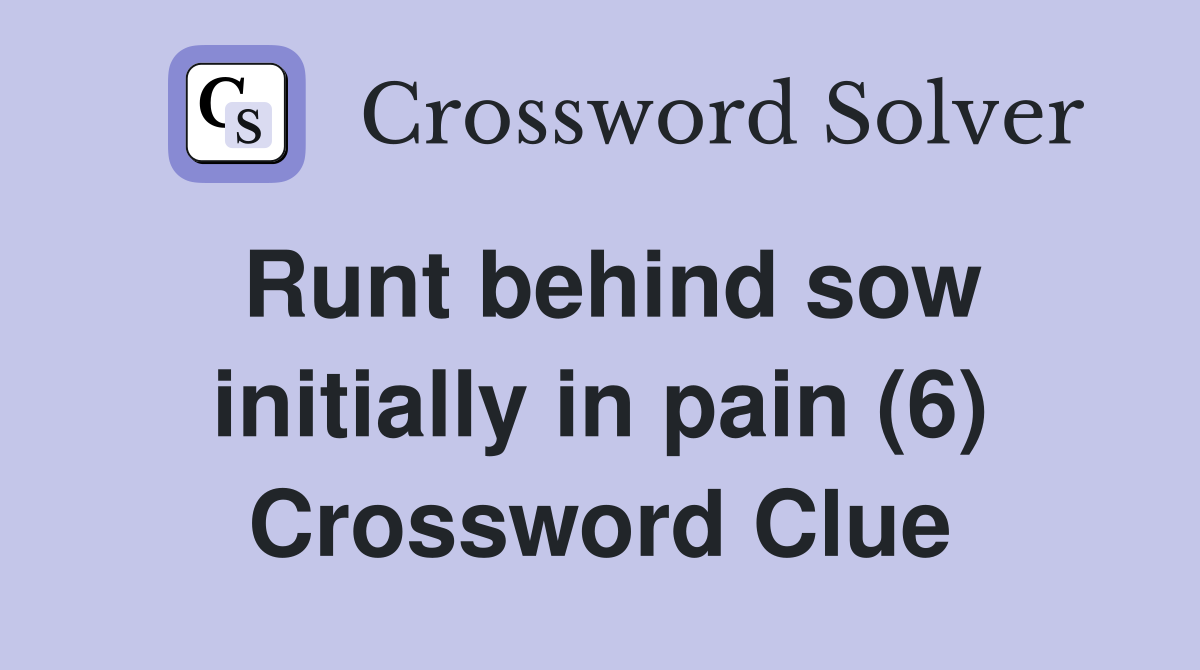 Runt behind sow initially in pain (6) Crossword Clue