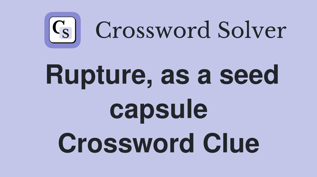 Rupture, as a seed capsule Crossword Clue