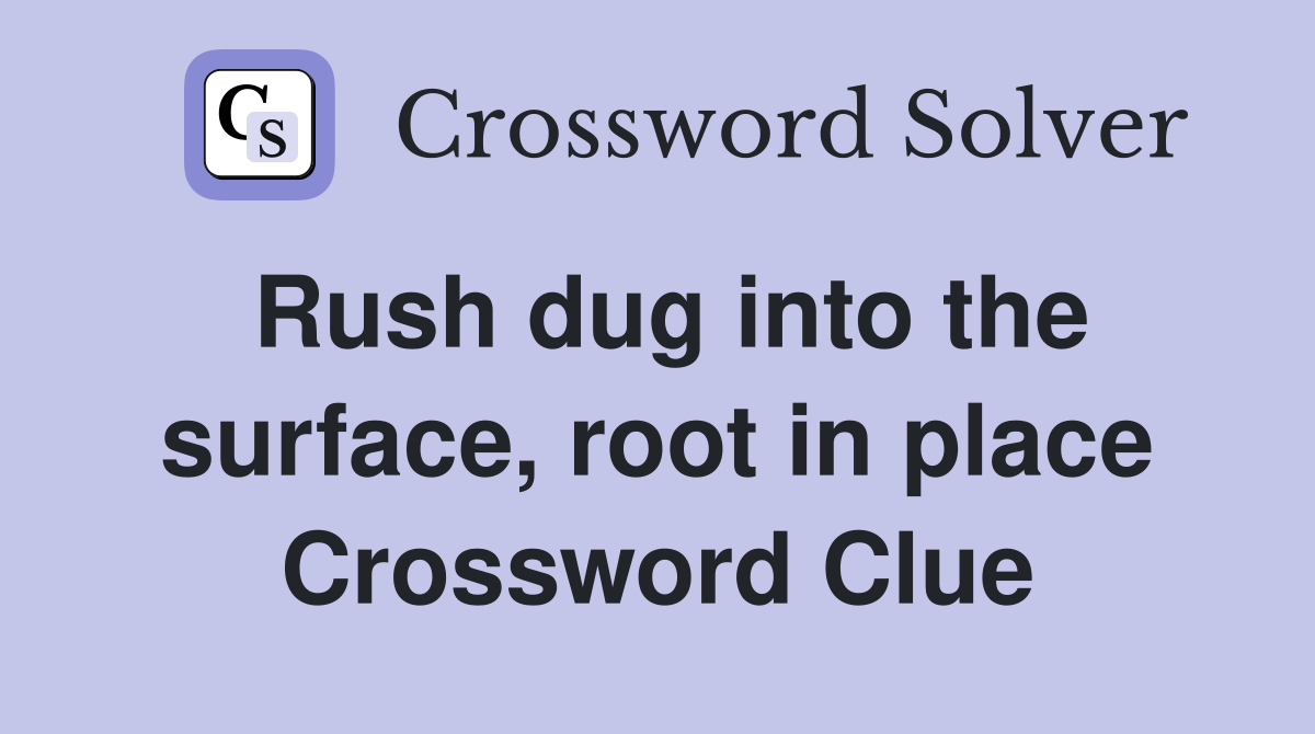 Rush dug into the surface, root in place Crossword Clue