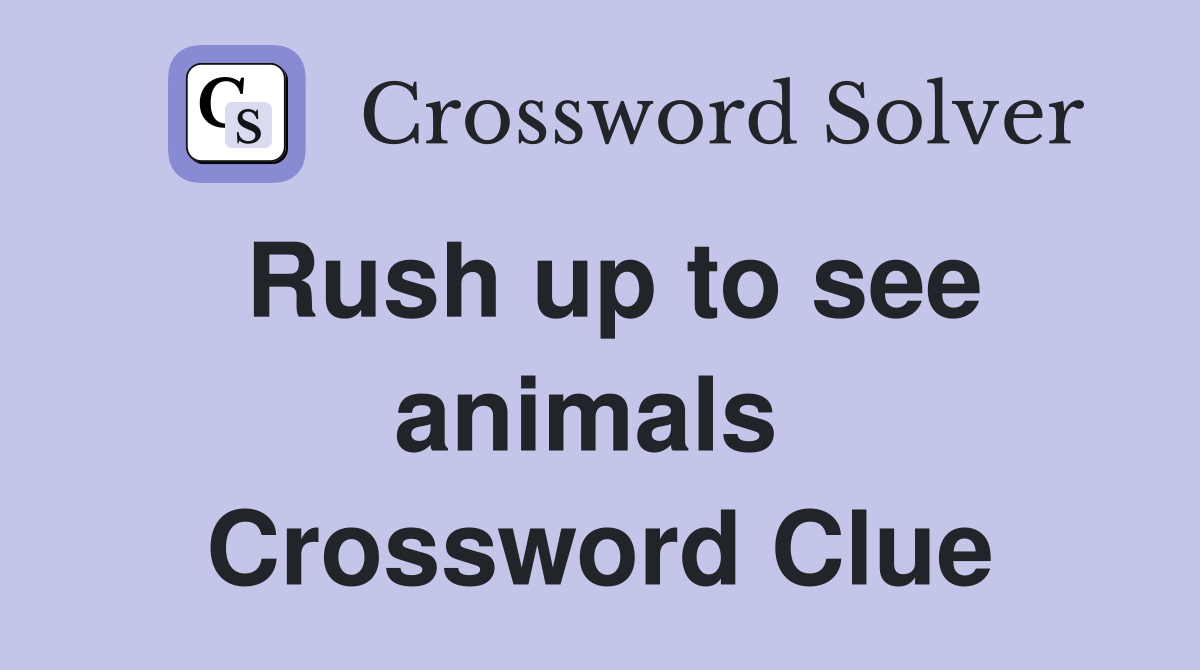 Rush up to see animals  Crossword Clue