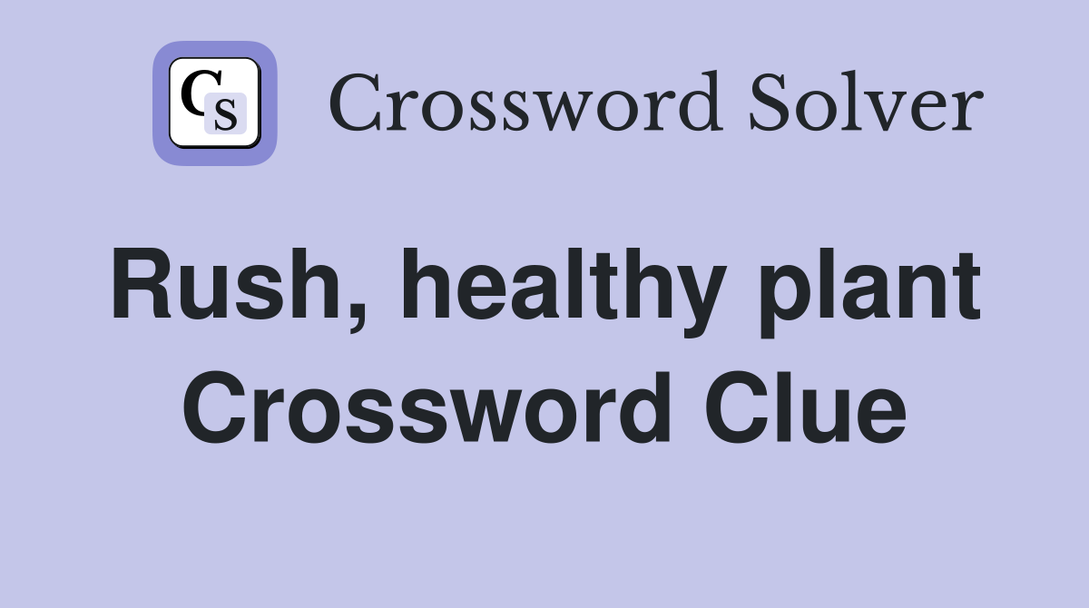 Rush, healthy plant  Crossword Clue