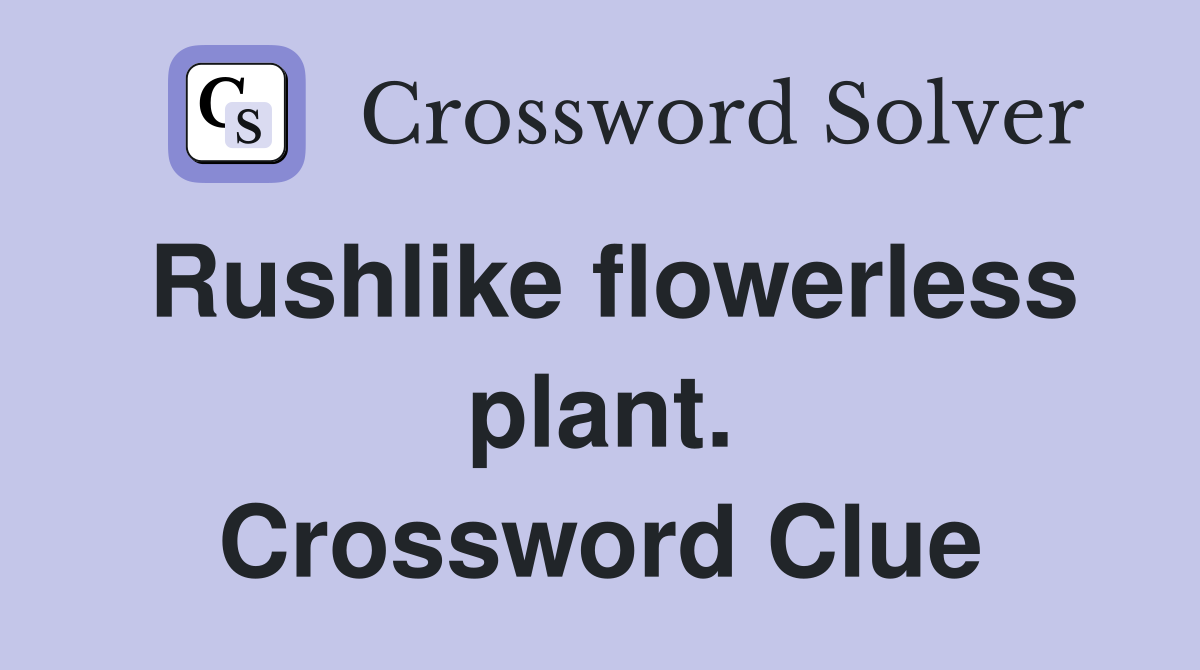 Rushlike flowerless plant. Crossword Clue