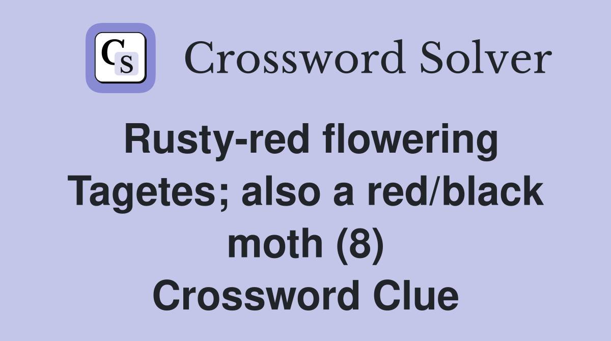 Rusty-red flowering Tagetes; also a red/black moth (8) Crossword Clue