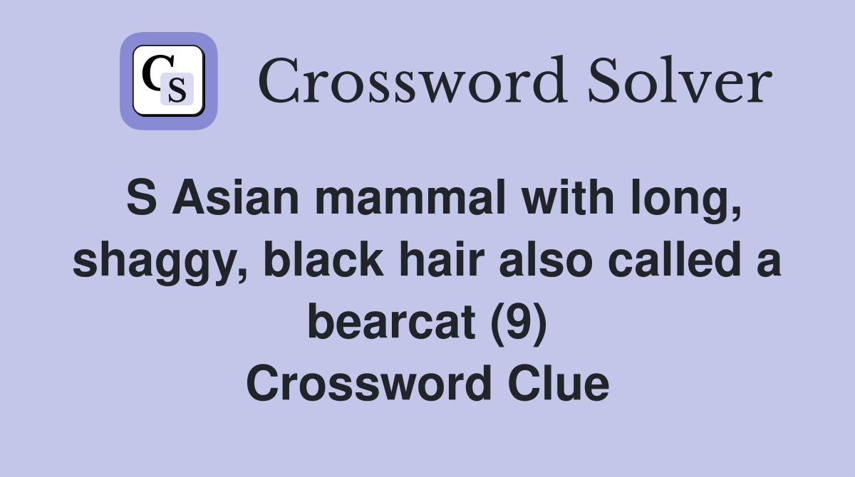 S Asian mammal with long, shaggy, black hair also called a bearcat (9) Crossword Clue
