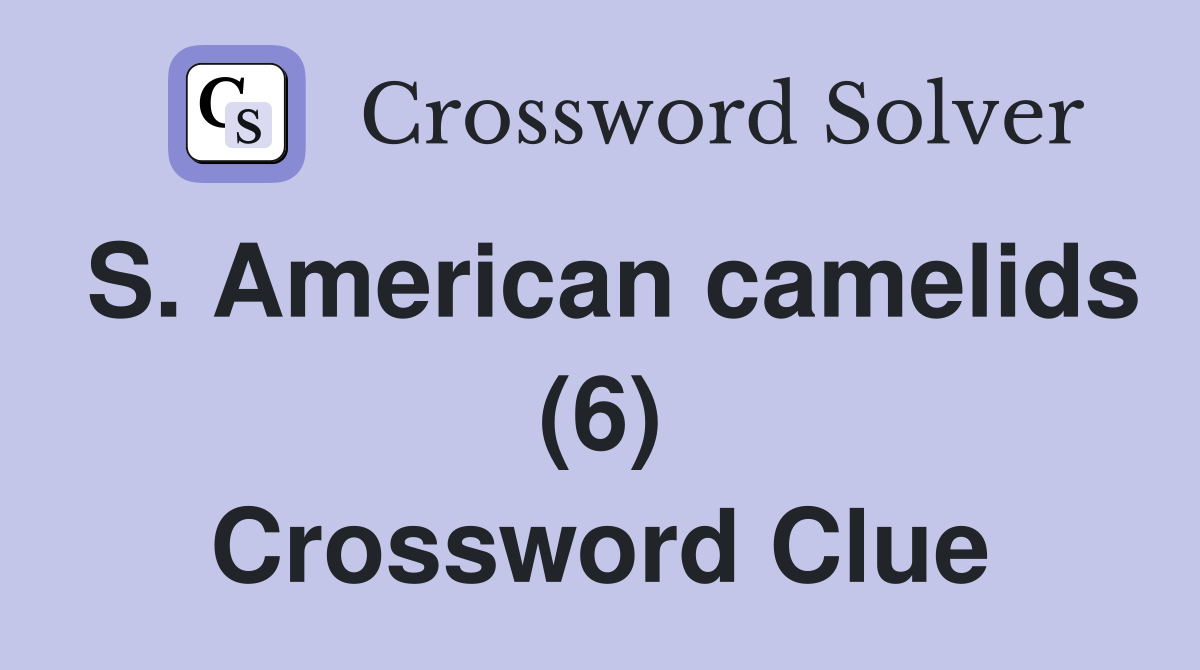 S. American camelids (6) Crossword Clue