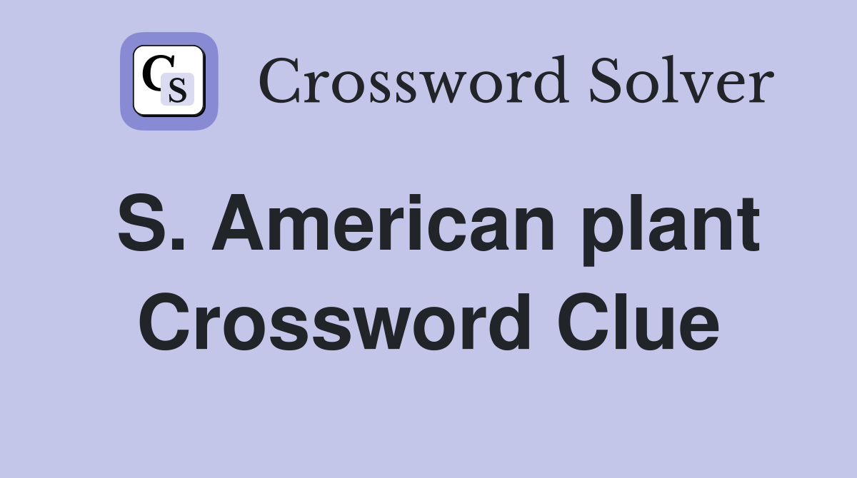 S. American plant Crossword Clue