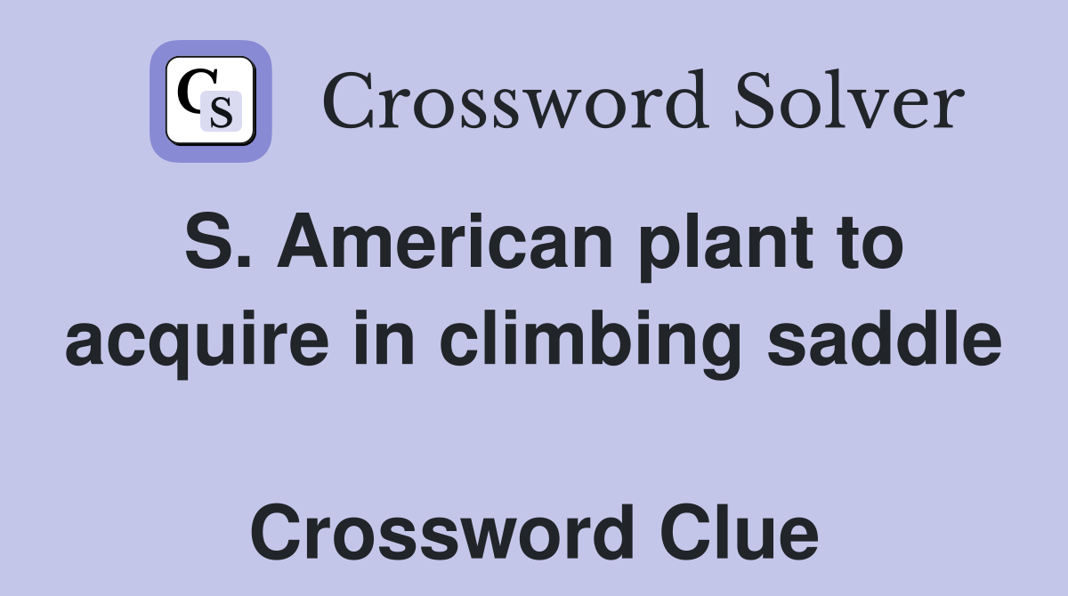 S. American plant to acquire in climbing saddle  Crossword Clue