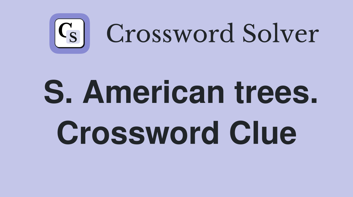 S. American trees. Crossword Clue