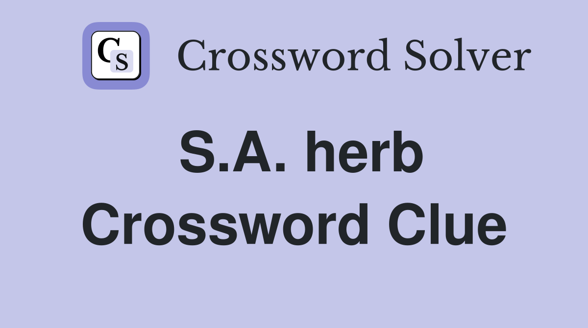 S.A. herb Crossword Clue