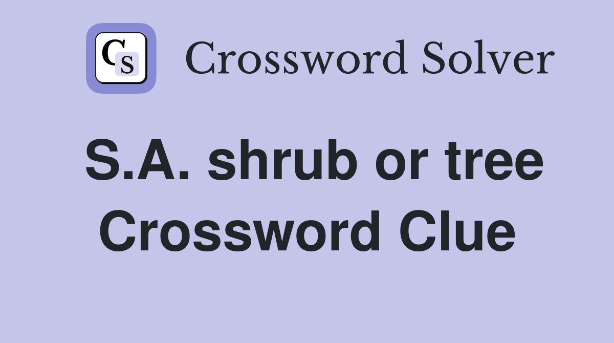 S.A. shrub or tree Crossword Clue
