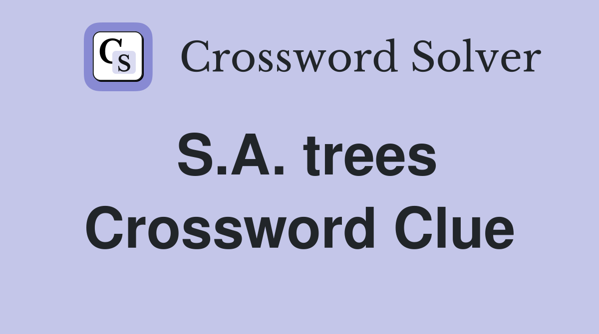 S.A. trees Crossword Clue