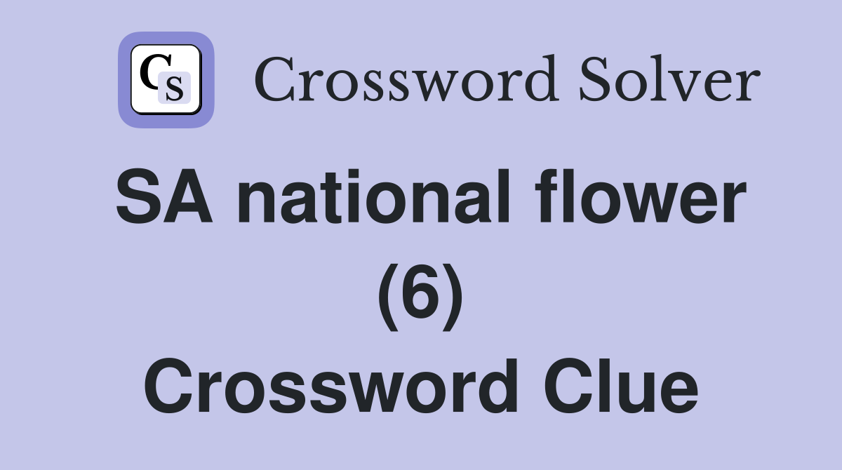 SA national flower (6) Crossword Clue