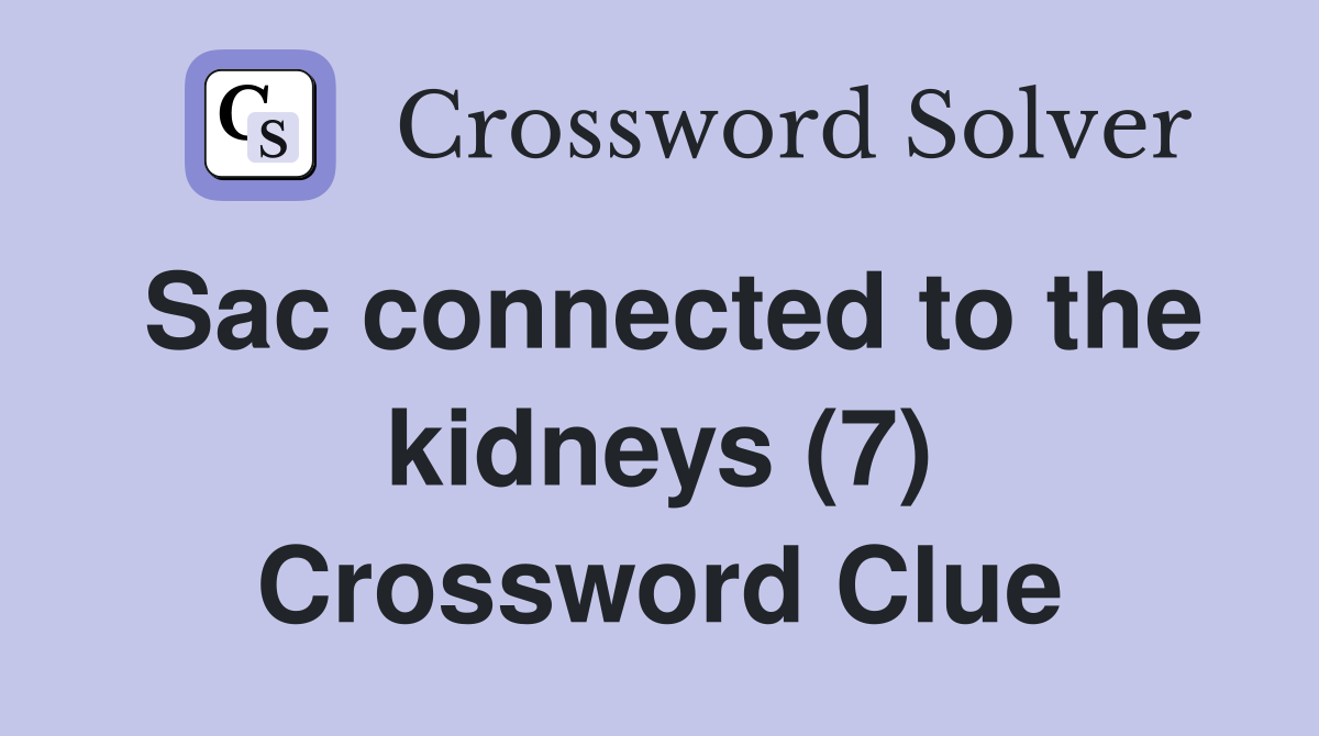 Sac connected to the kidneys (7) Crossword Clue