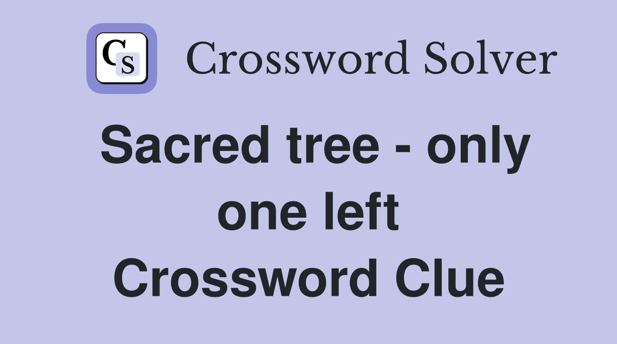 Sacred tree - only one left Crossword Clue