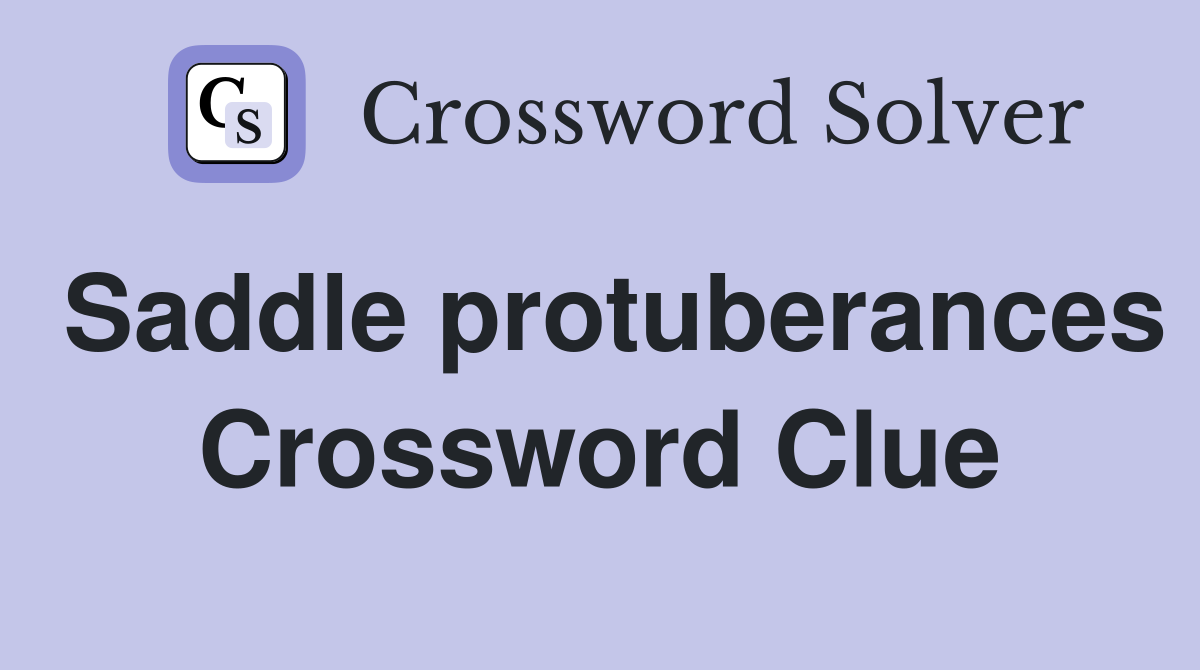 Saddle protuberances Crossword Clue