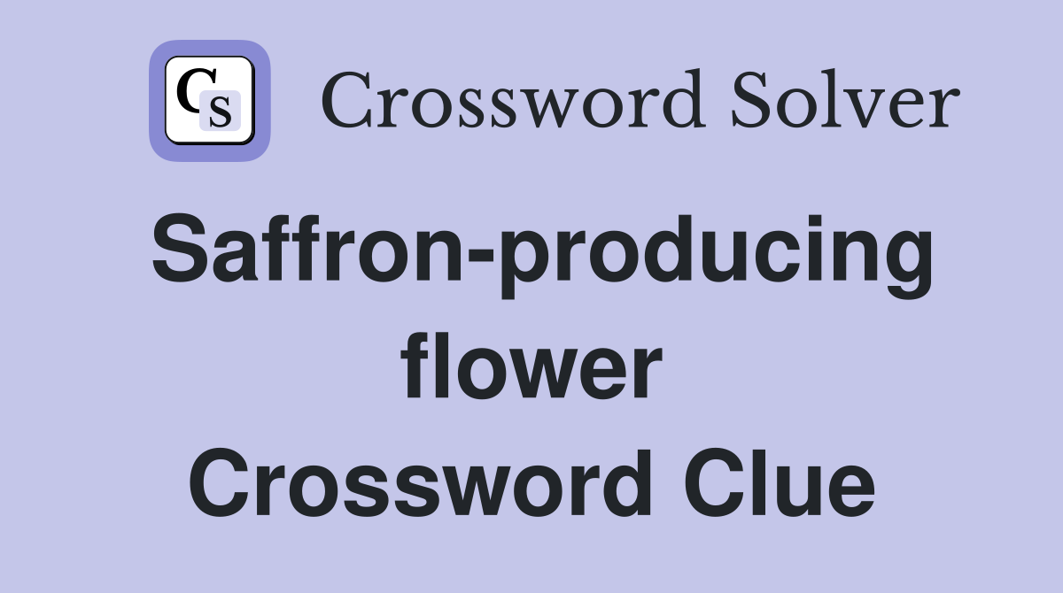 Saffron-producing flower Crossword Clue