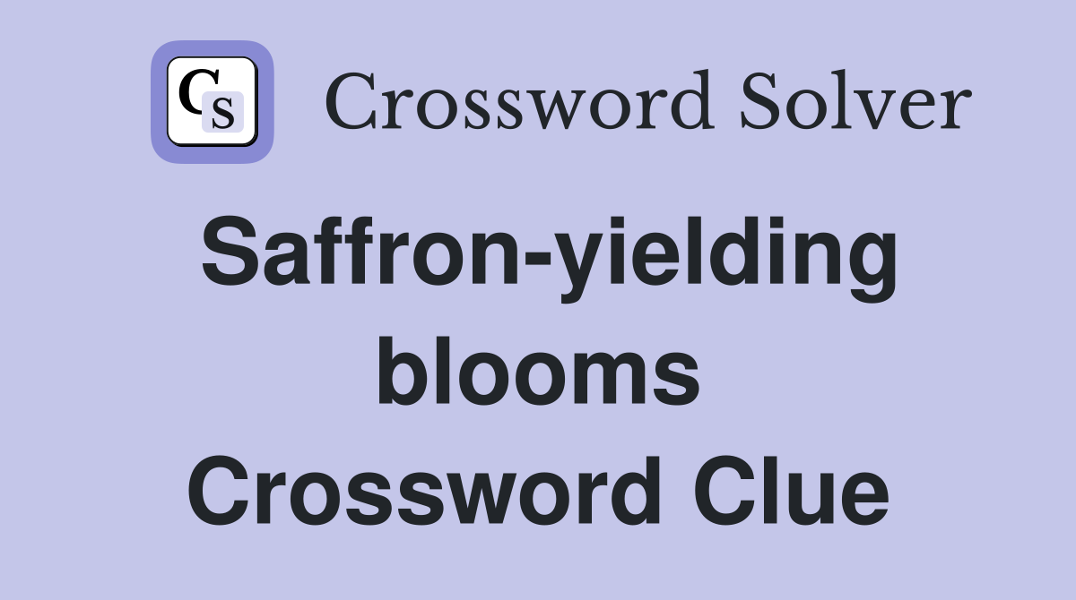 Saffron-yielding blooms Crossword Clue