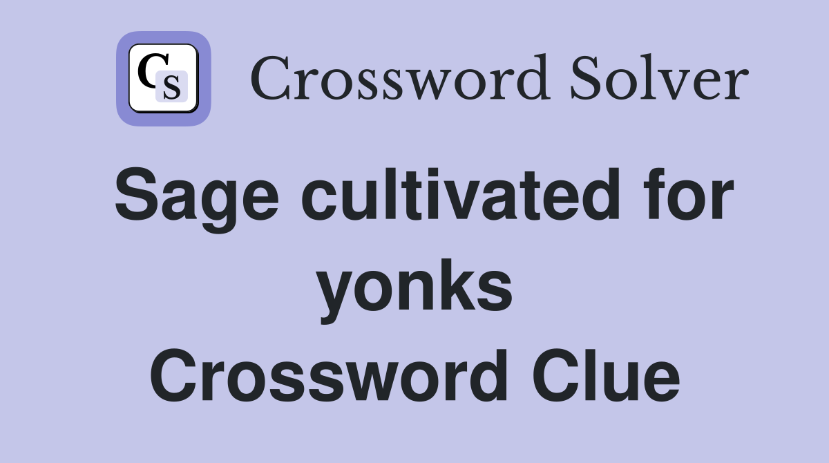 Sage cultivated for yonks Crossword Clue