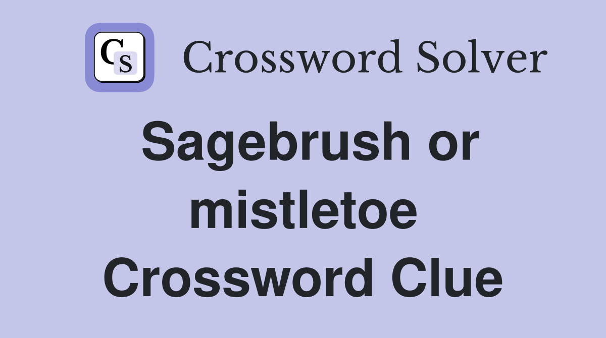 Sagebrush or mistletoe Crossword Clue
