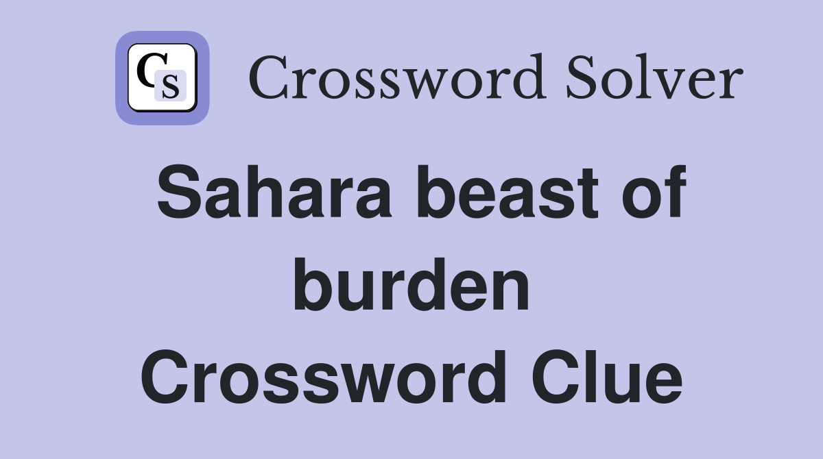 Sahara beast of burden Crossword Clue