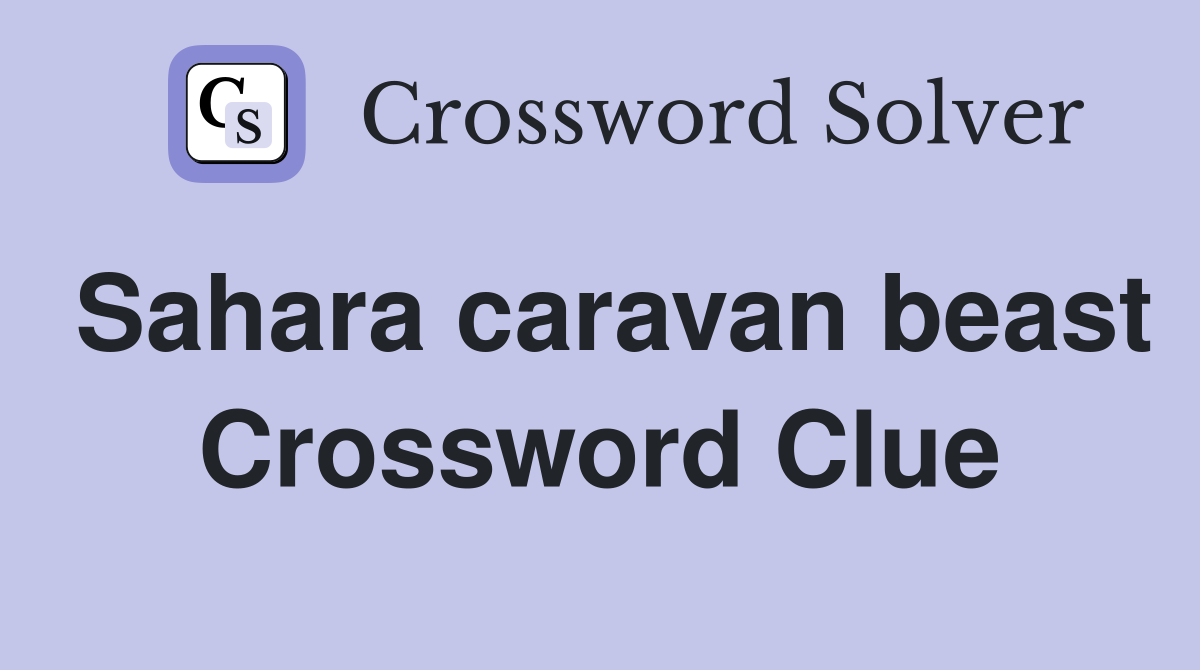 Sahara caravan beast Crossword Clue