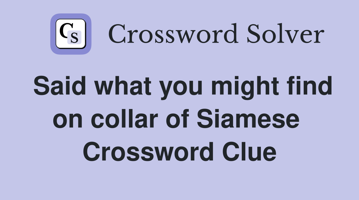 Said what you might find on collar of Siamese  Crossword Clue
