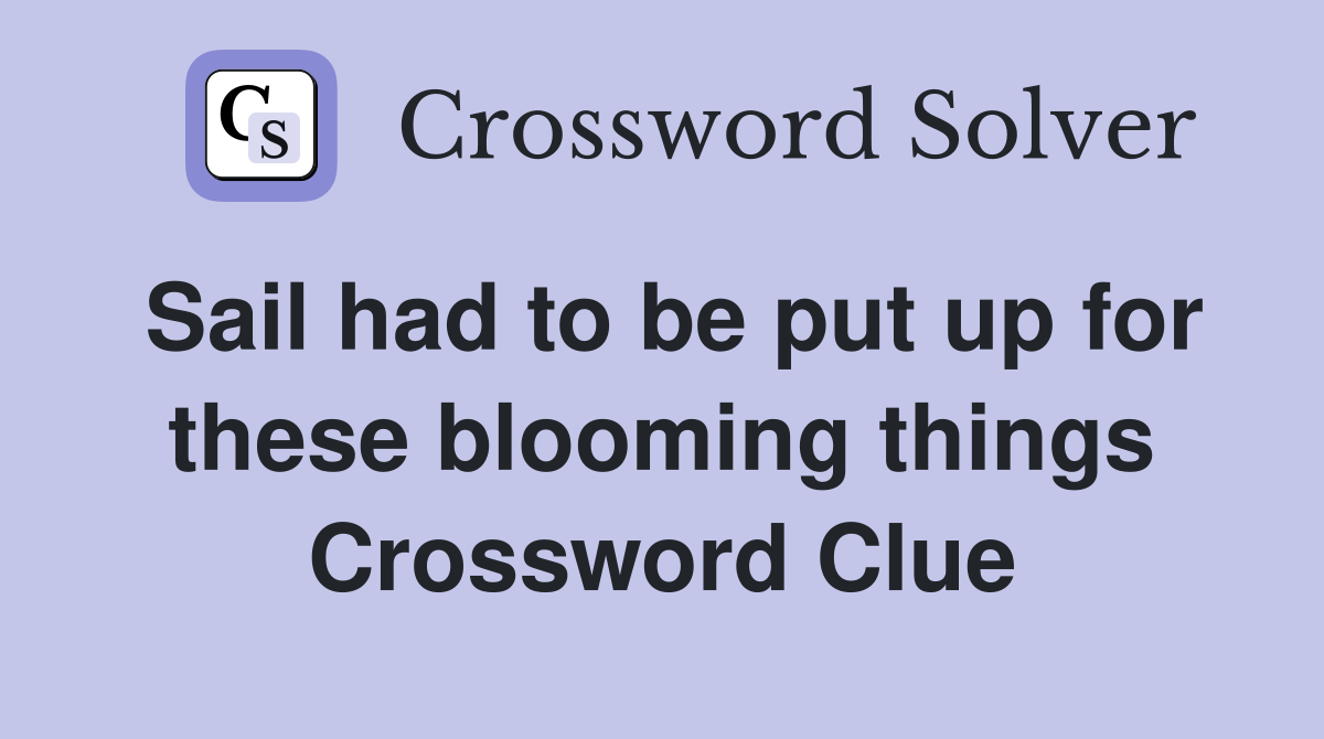 Sail had to be put up for these blooming things Crossword Clue