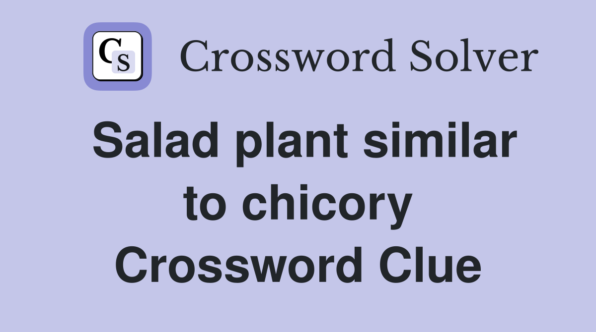 Salad plant similar to chicory Crossword Clue