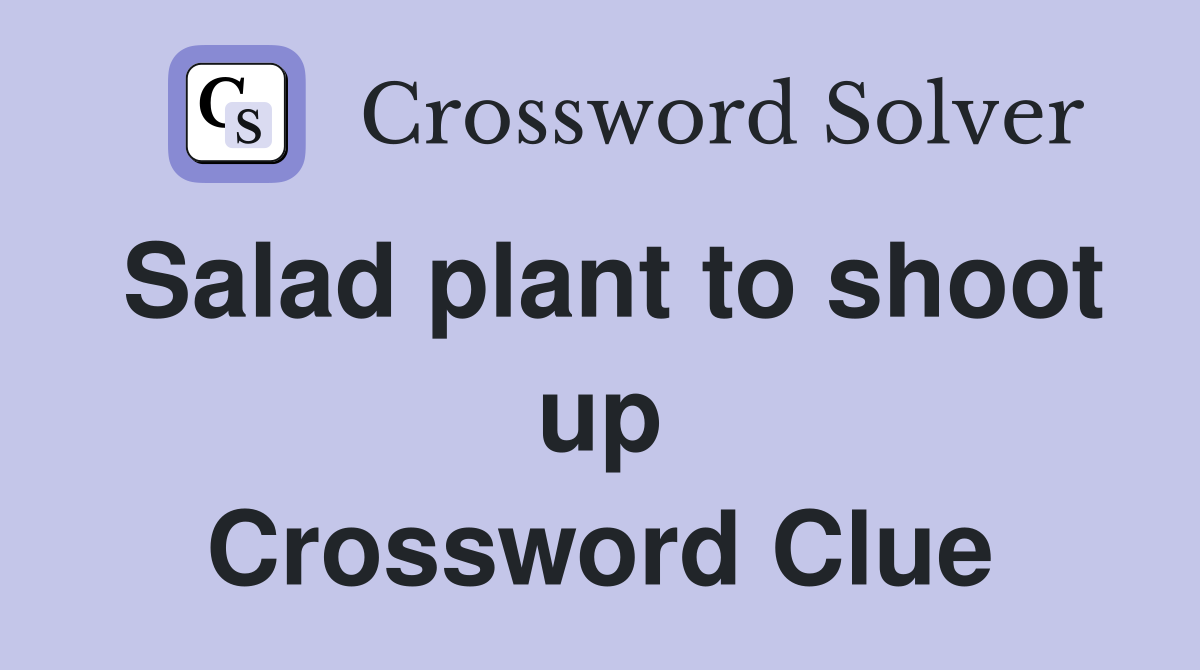 Salad plant to shoot up Crossword Clue