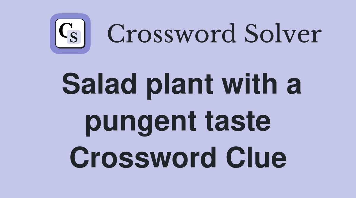 Salad plant with a pungent taste Crossword Clue