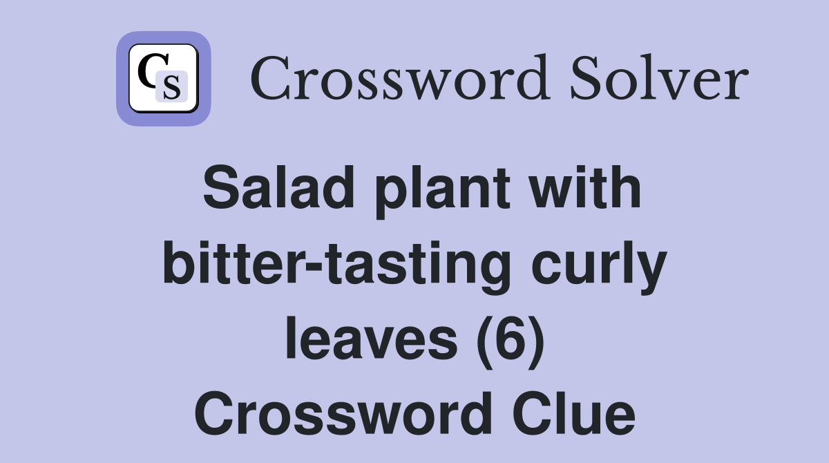 Salad plant with bitter-tasting curly leaves (6) Crossword Clue