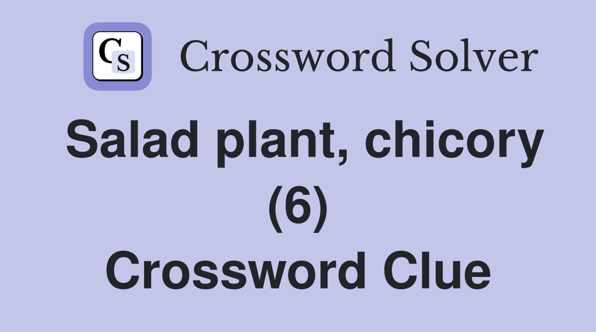 Salad plant, chicory (6) Crossword Clue