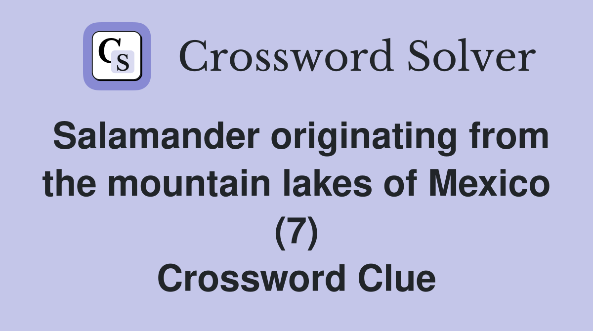 Salamander originating from the mountain lakes of Mexico (7) Crossword Clue