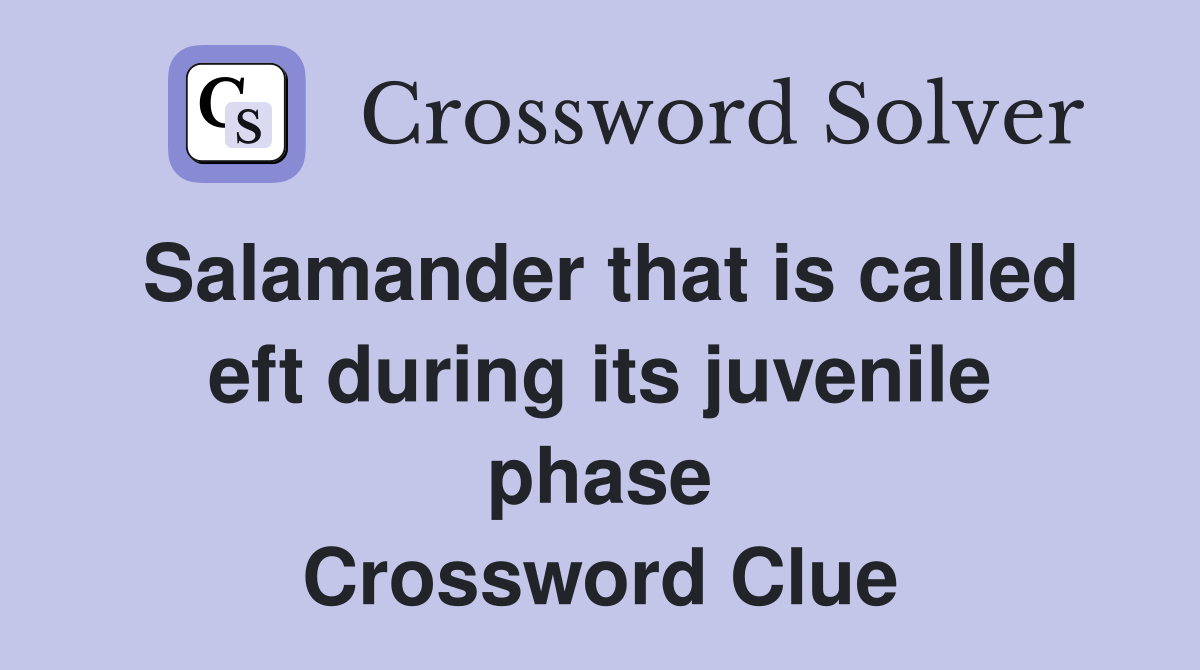 Salamander that is called eft during its juvenile phase Crossword Clue