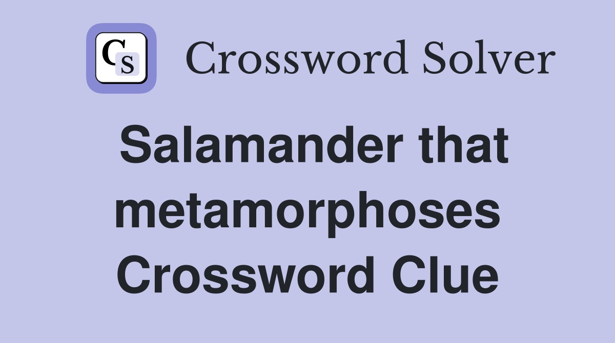 Salamander that metamorphoses Crossword Clue