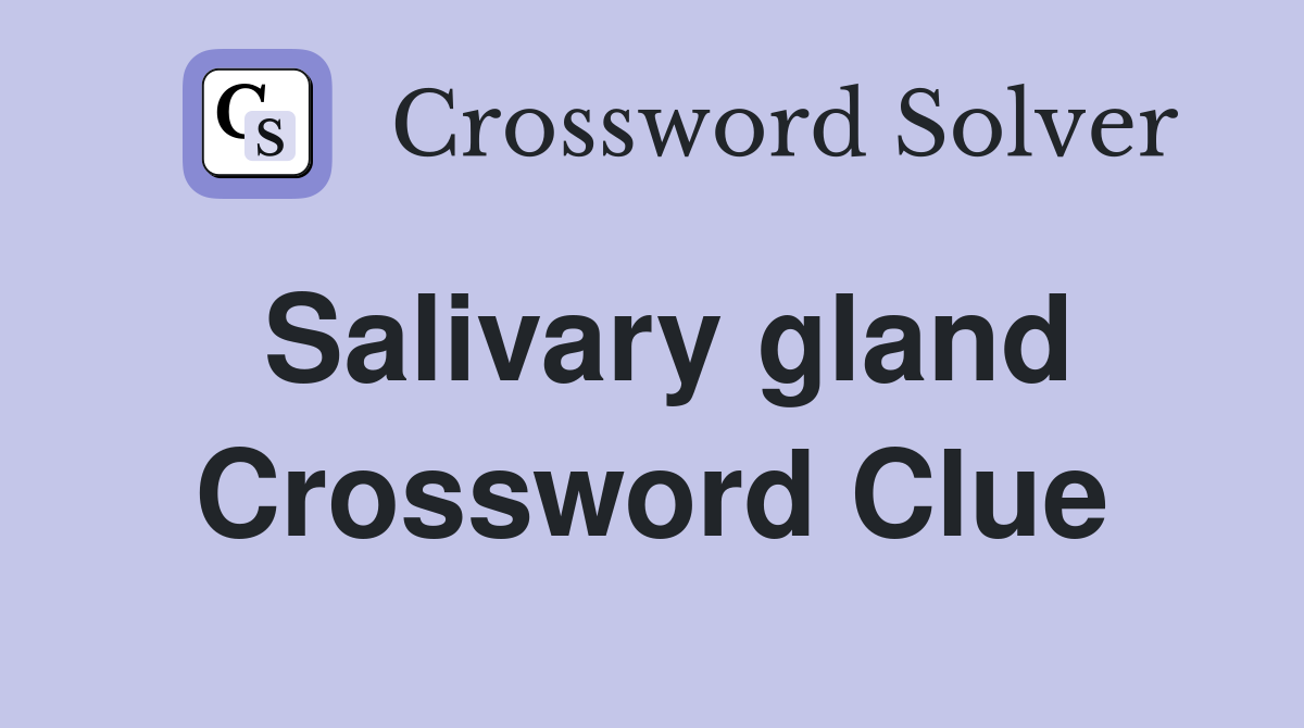 Salivary gland Crossword Clue