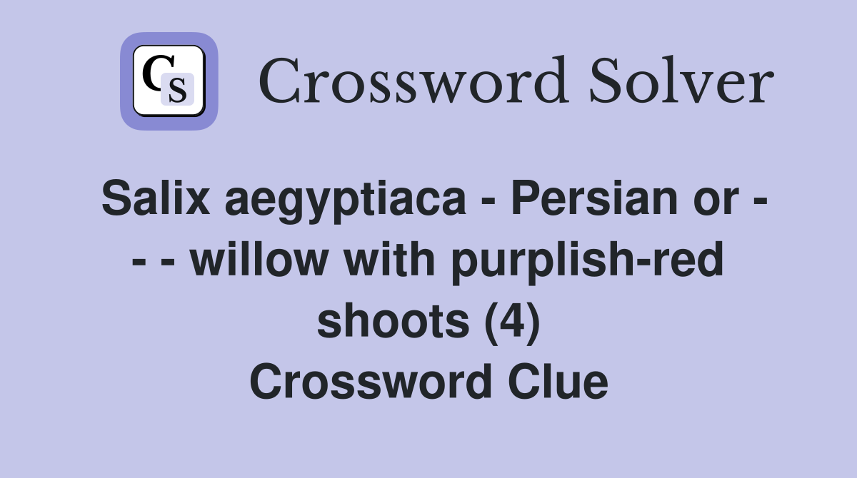 Salix aegyptiaca - Persian or - - - willow with purplish-red shoots (4) Crossword Clue