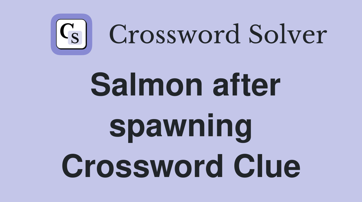 Salmon after spawning Crossword Clue