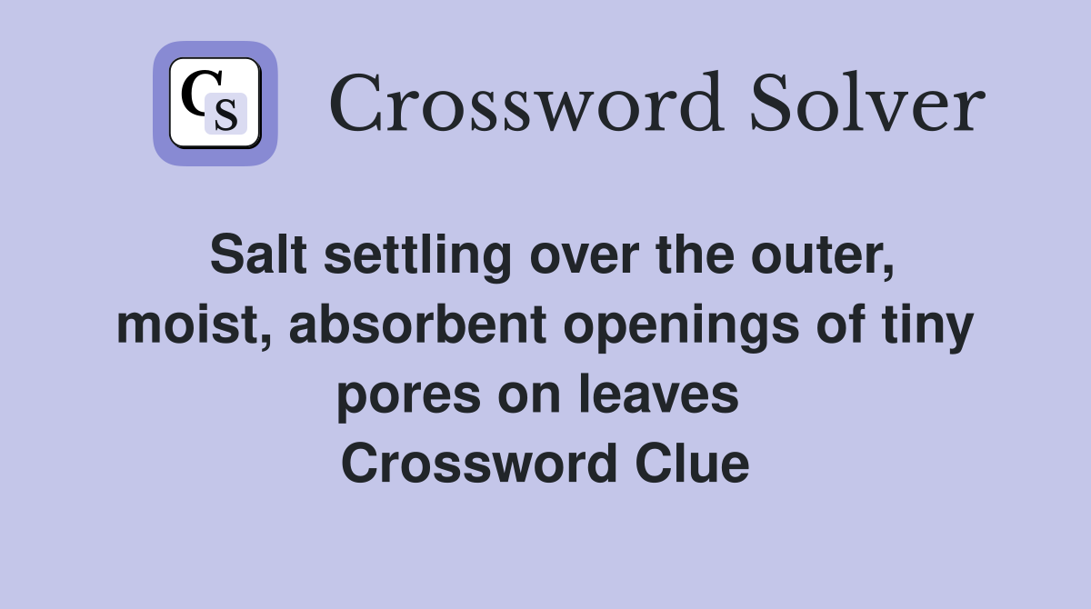 Salt settling over the outer, moist, absorbent openings of tiny pores on leaves  Crossword Clue