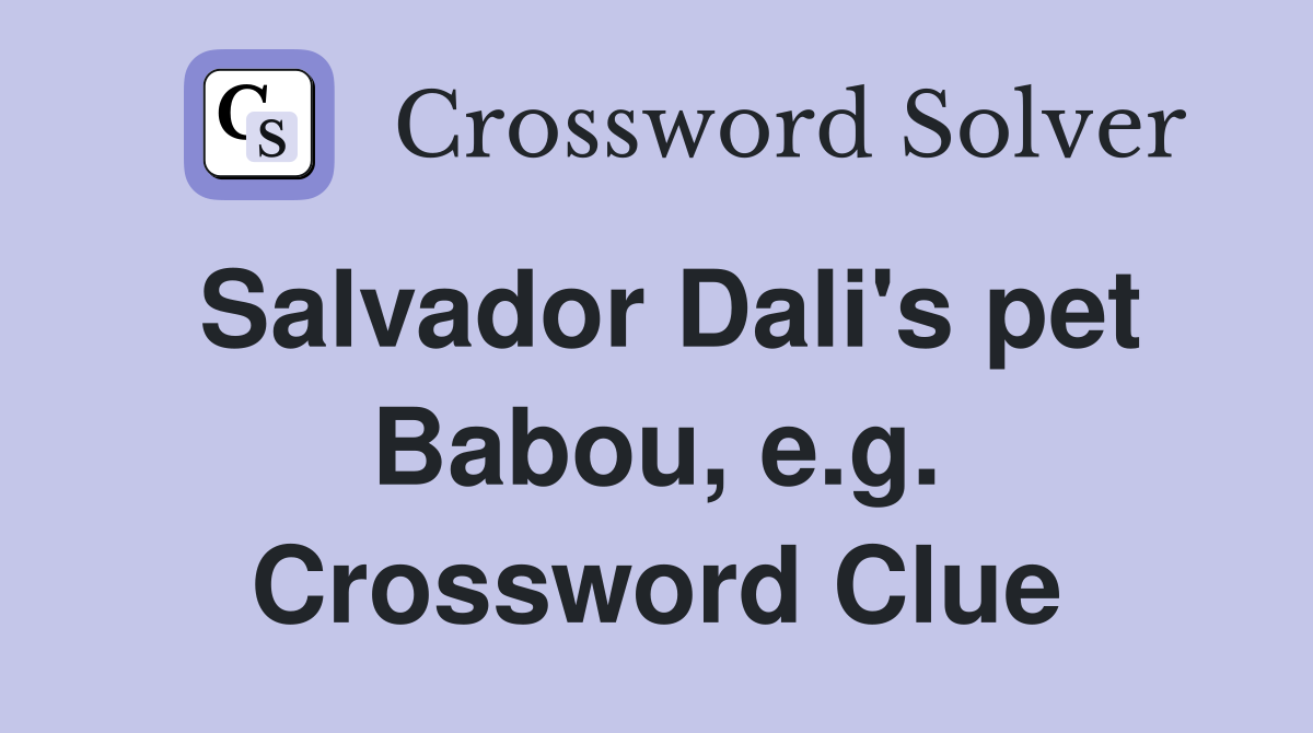 Salvador Dali's pet Babou, e.g. Crossword Clue