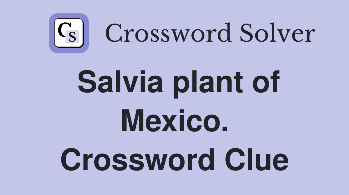 Salvia plant of Mexico. Crossword Clue