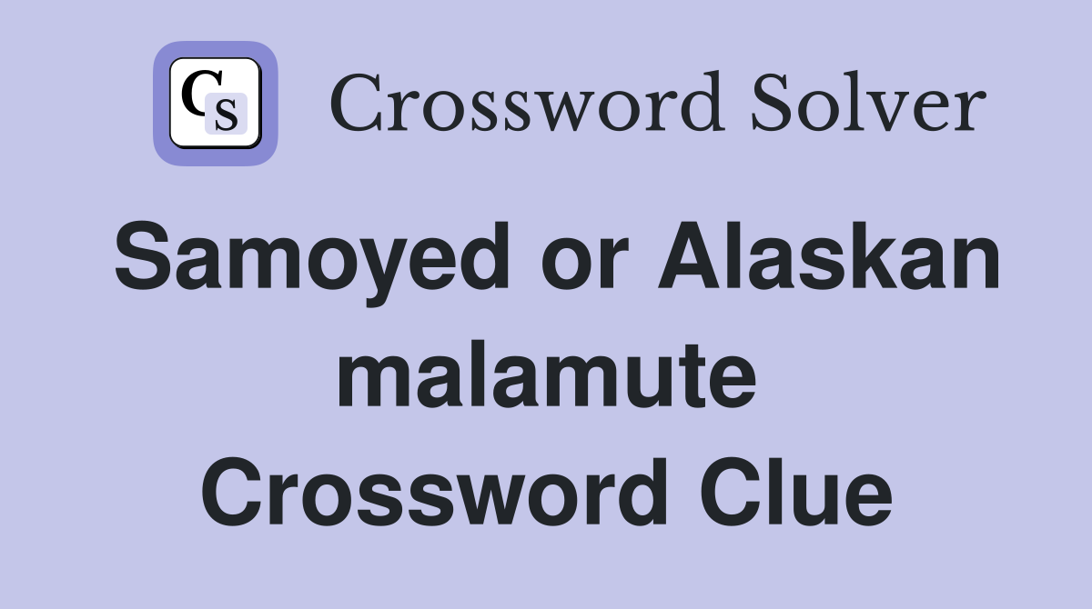 Samoyed or Alaskan malamute Crossword Clue