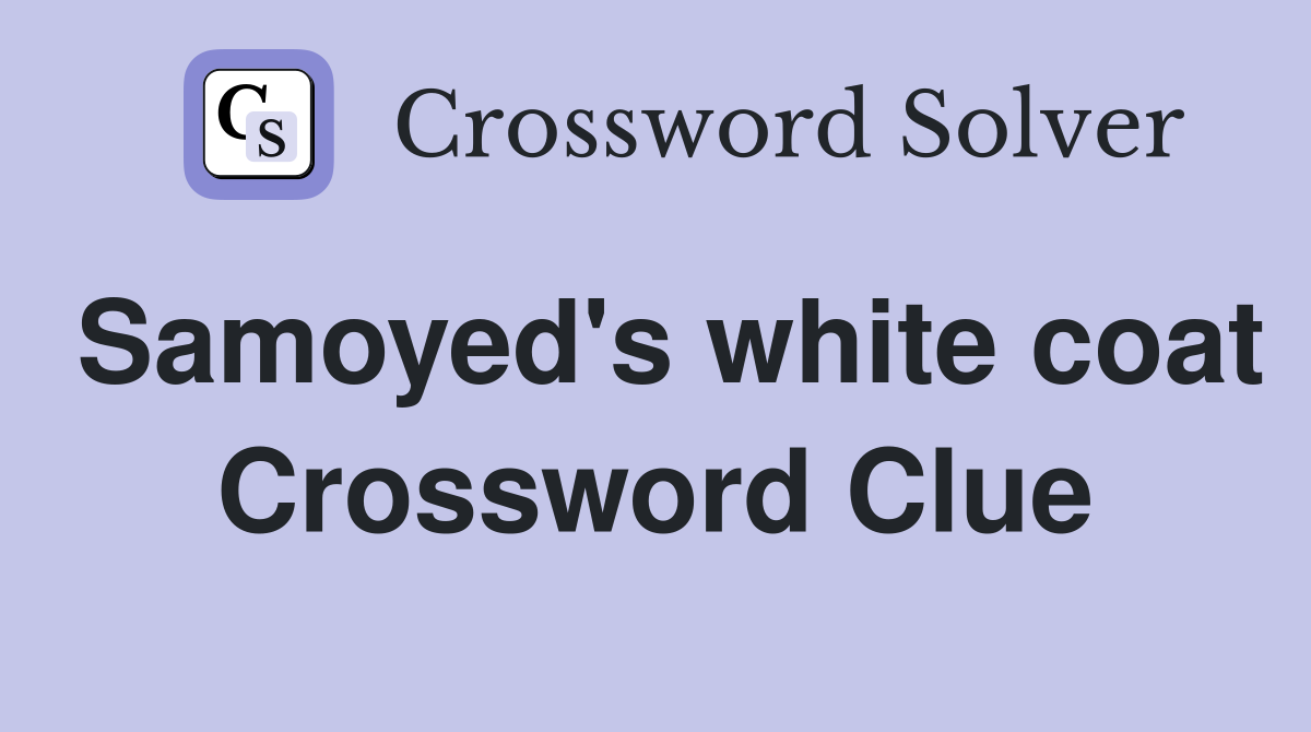 Samoyed's white coat Crossword Clue