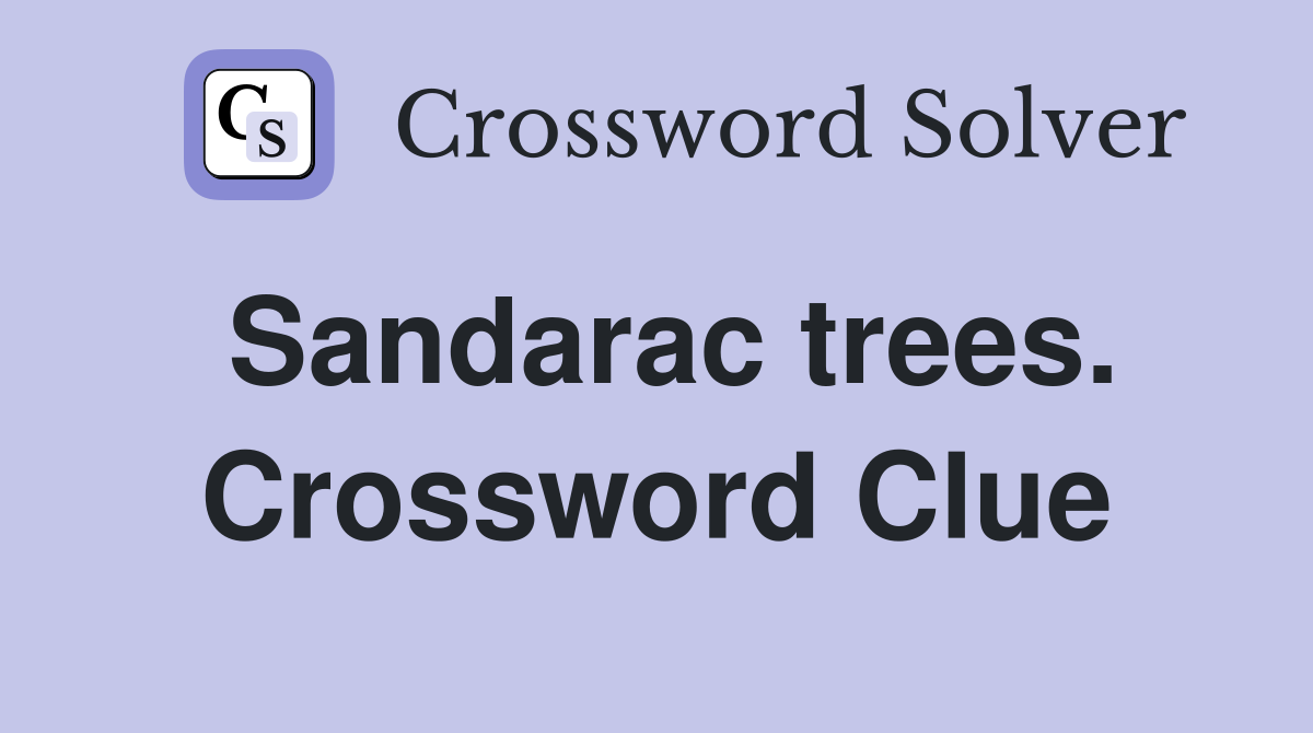 Sandarac trees. Crossword Clue