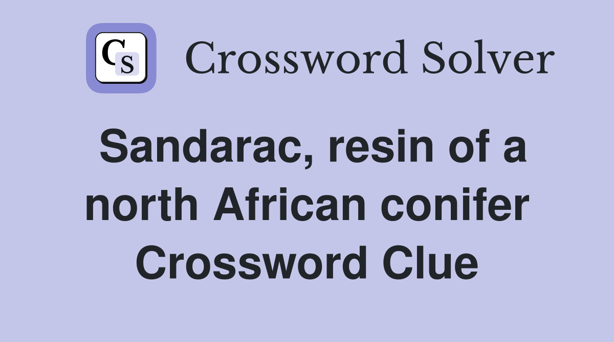 Sandarac, resin of a north African conifer Crossword Clue