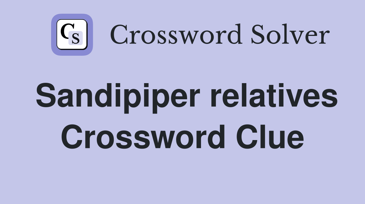 Sandipiper relatives Crossword Clue